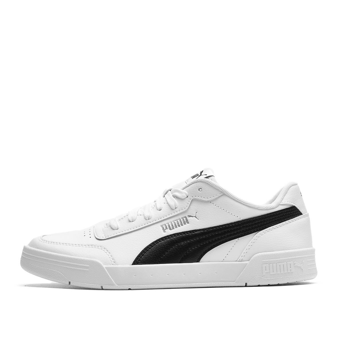 Puma Caracal