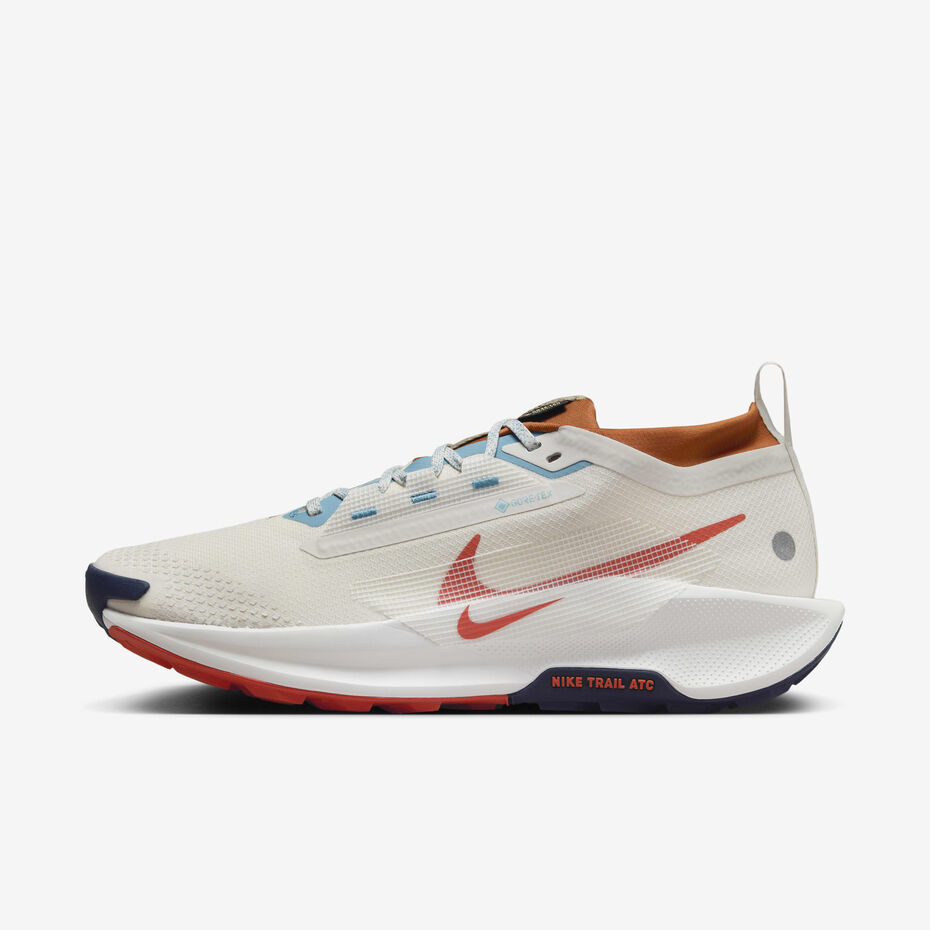 Nike Pegasus Trail 5 GORE_TEX