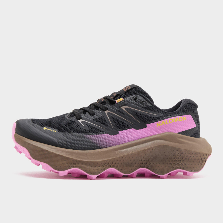 Salomon Ultra Flow 2 GTX