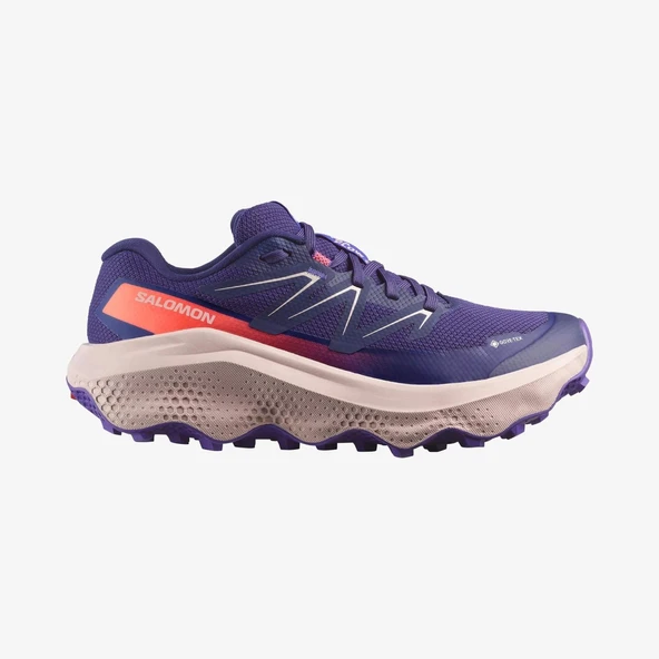 Salomon Ultra Flow 2 GTX