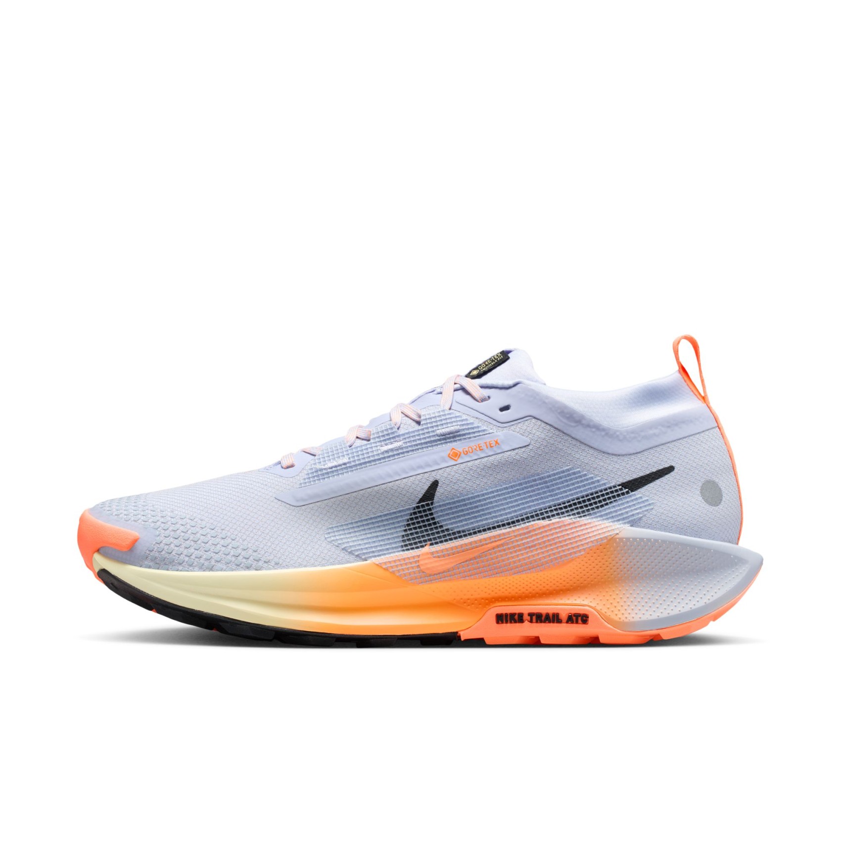 Nike Pegasus Trail 5 GTX